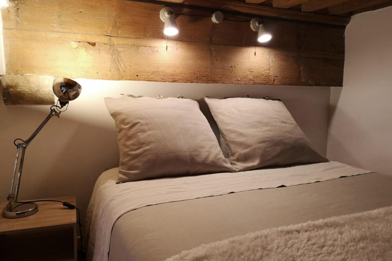 Authentic Loft With Mezzanine & Exposed Stones Heart Of Lyon公寓 外观 照片