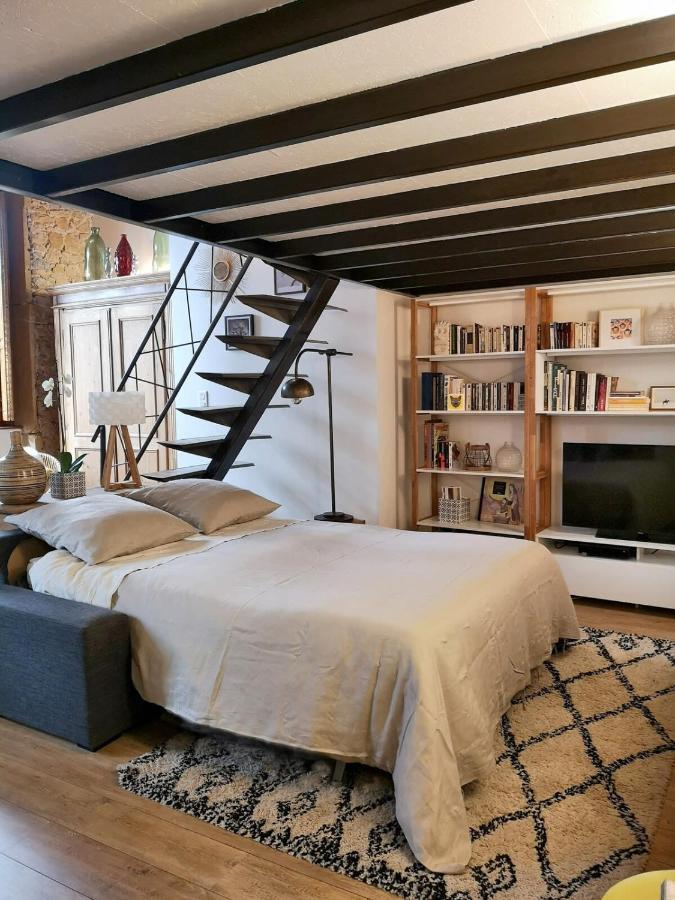 Authentic Loft With Mezzanine & Exposed Stones Heart Of Lyon公寓 外观 照片